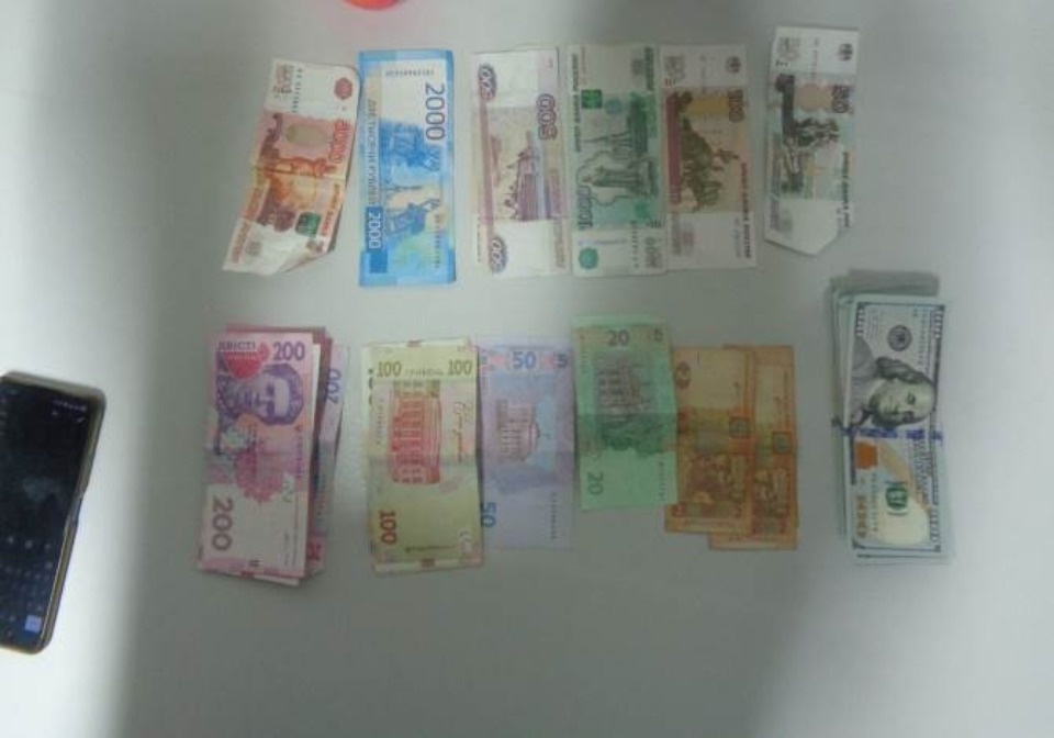 Иностранка пыталась незаконно вывезти более 15 тысяч долларов через госграницу в Псковской области