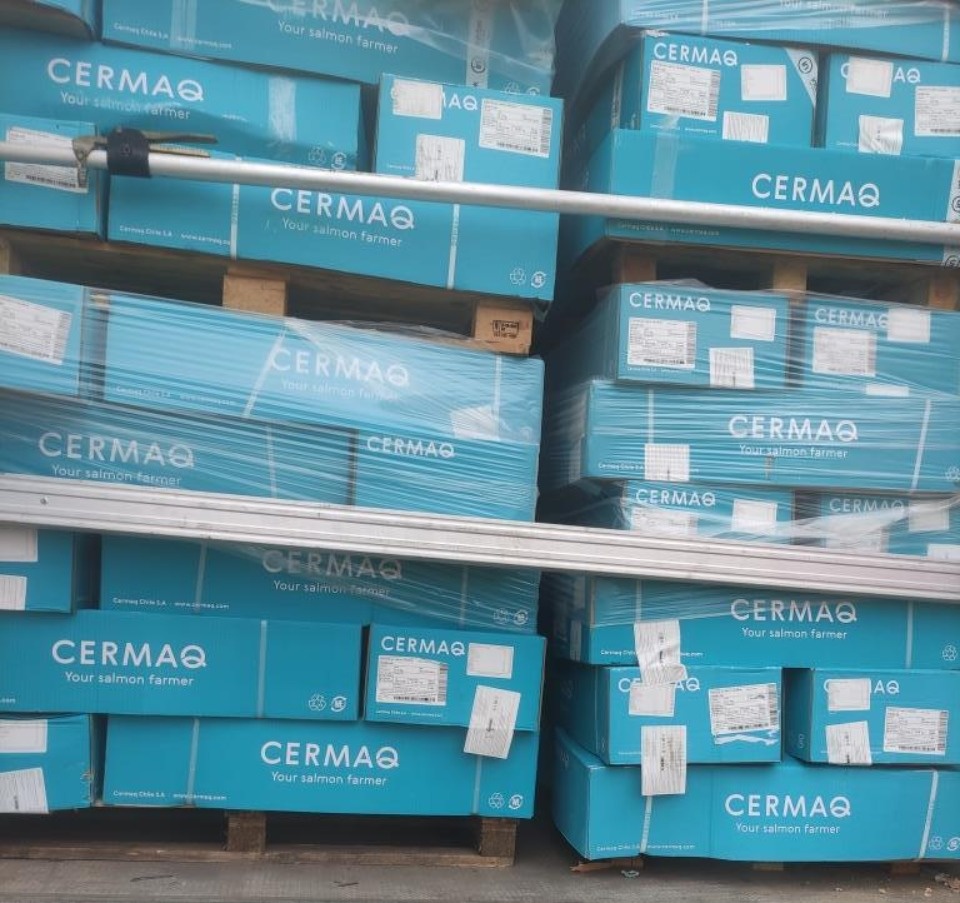 Партию мороженного чилийского лосося запретили провозить через Псковскую область