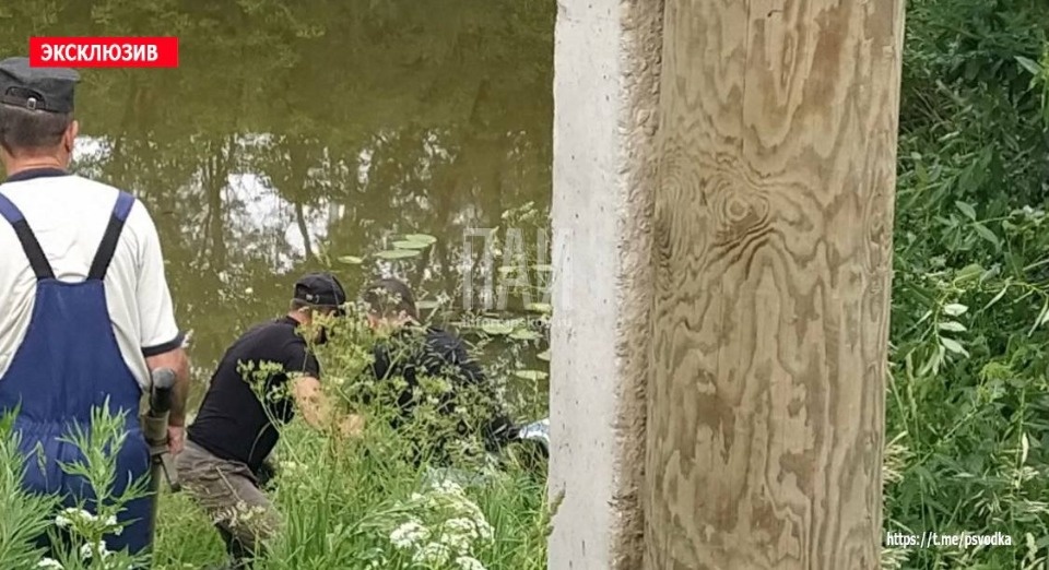 В реке Шелонь в Порхове обнаружили тело мужчины 