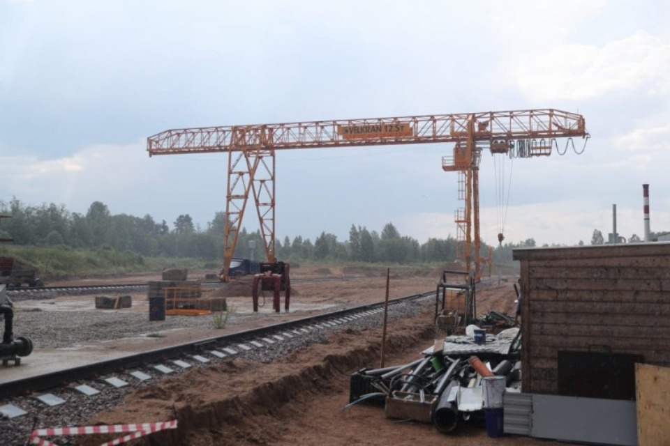 Первую очередь производства по переработке древесины в Плюсском районе запустят в течение месяца