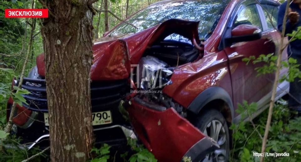 В Пустошкинском районе автомобиль врезался в дерево