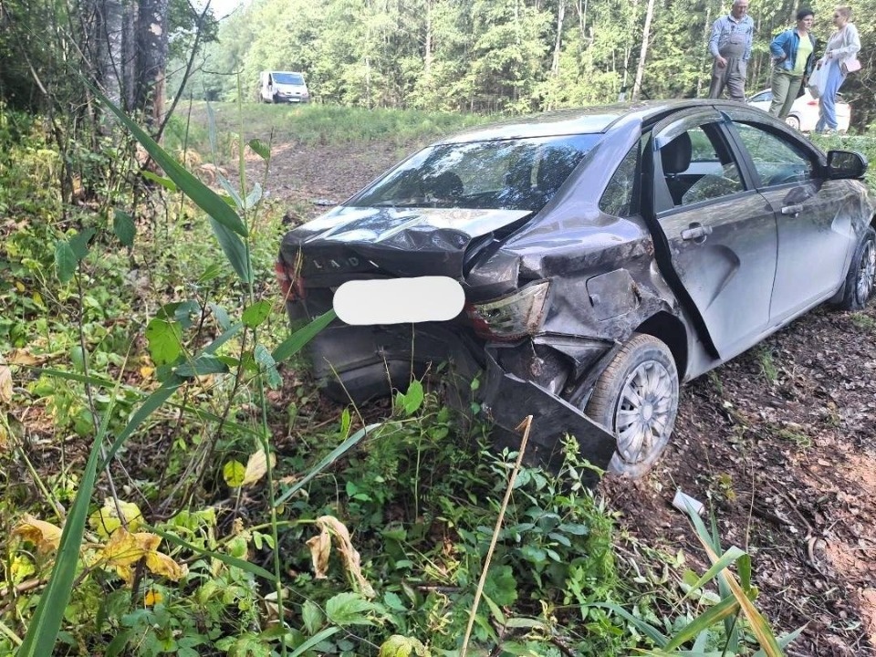 Водитель отвлекся от дороги и стал виновником ДТП в Струго-Краснеском районе