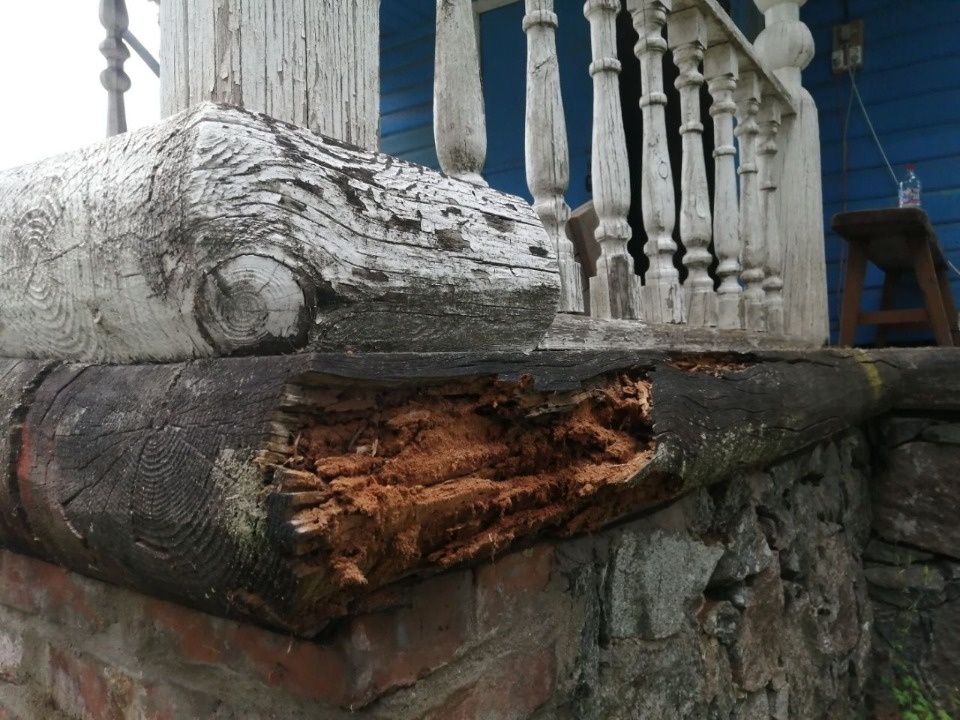 Прогнившие элементы заменят в ходе ремонта церкви Покрова Богородицы в Псковском районе Прогнившие элементы заменят в ходе ремонта церкви Покрова Богородицы в Псковском районе