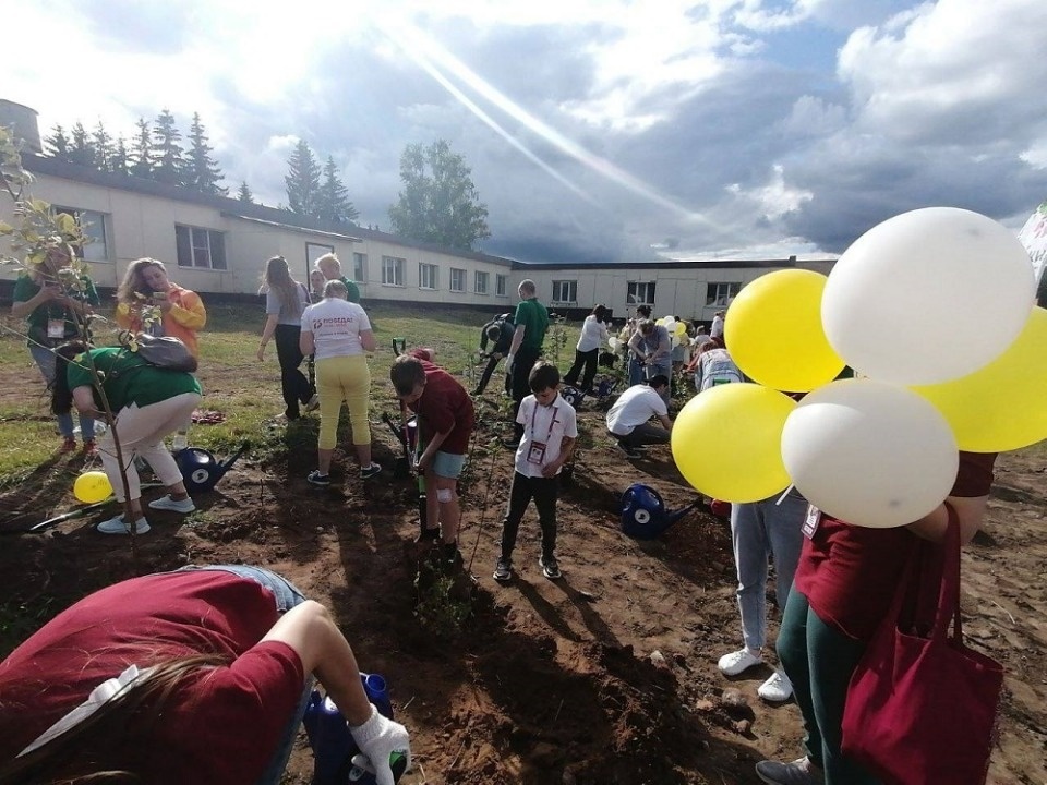 Аллею из сирени высадили в Печорах