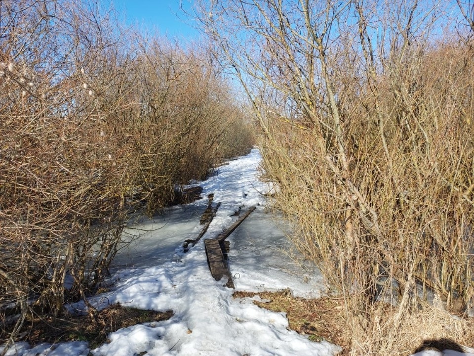 Шагнули в будущее 