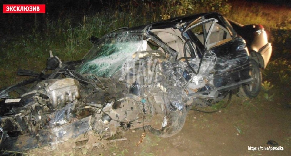 Гражданка Белоруссии пострадала в ночном ДТП в Опочецком районе