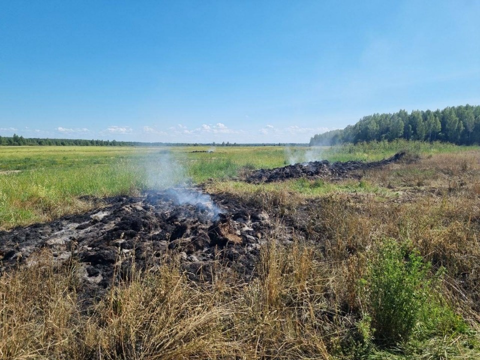 В Псковском районе около леса обнаружили свалку горючих отходов