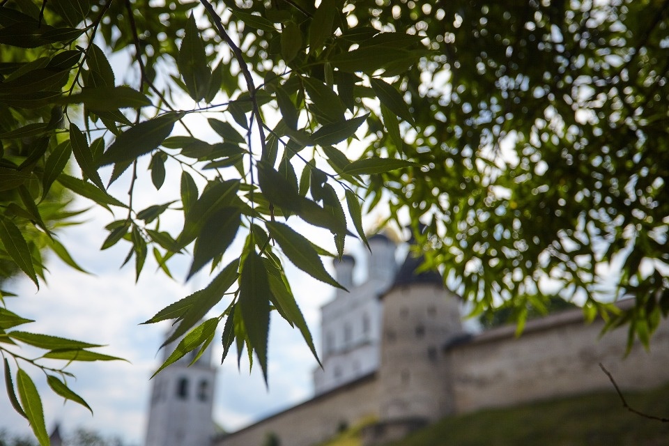 До +25 градусов прогнозируется в Псковской области 14 июля