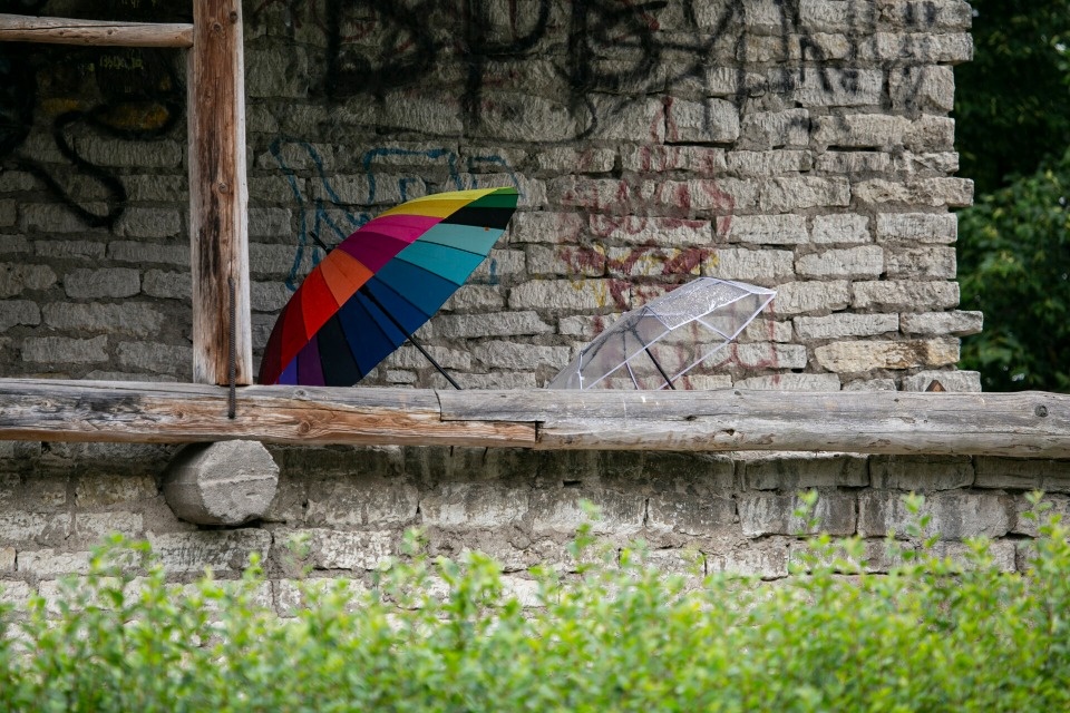 До +23 градусов прогнозируется в Псковской области 18 июля