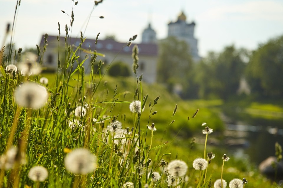До +23 градусов прогреется воздух в Псковской области 19 июля