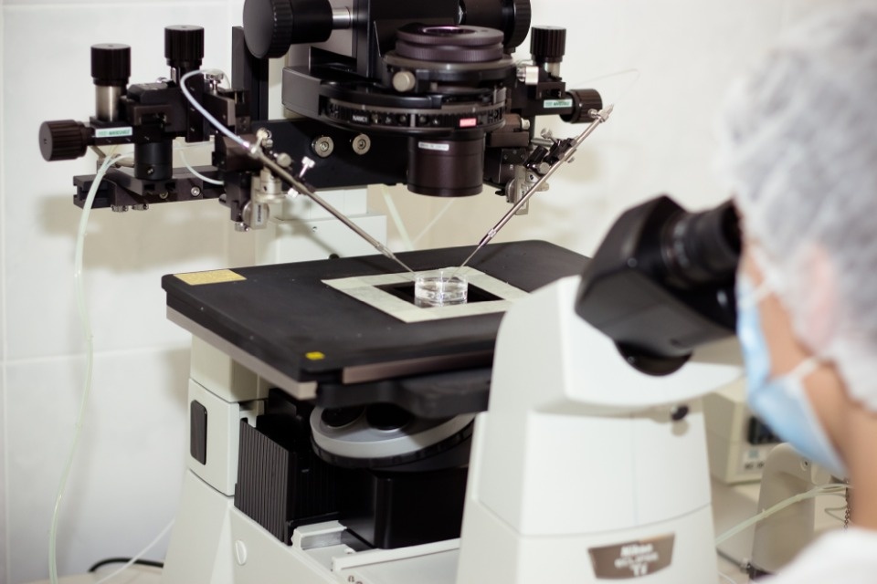 Екатерина Горошко: «Эмбриология – сердце клиники ЭКО» 