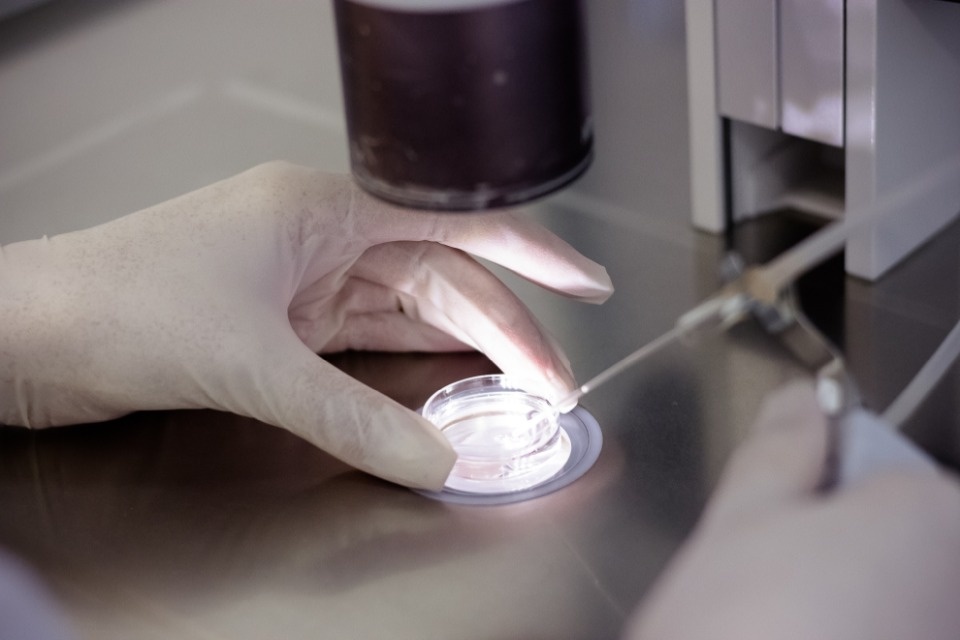 Екатерина Горошко: «Эмбриология – сердце клиники ЭКО» 