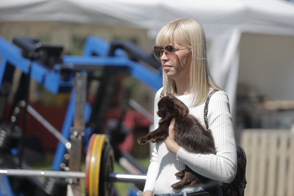 Сильный Псков Сильный Псков