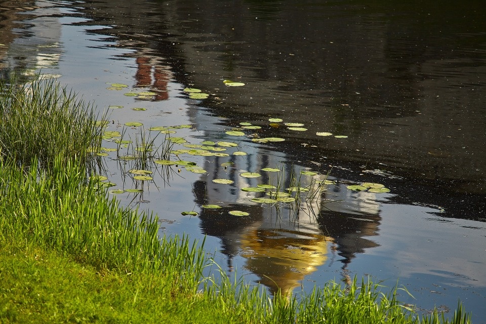 До +24 градусов ожидается в Псковской области 24 июля