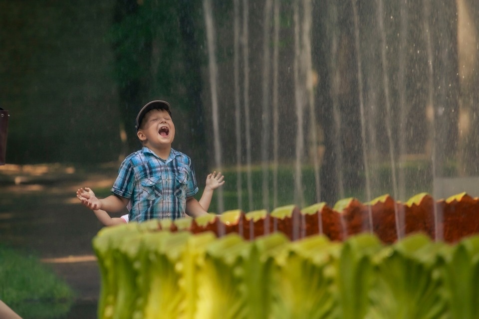 В Псковской области ни разу не было три тёплых лета подряд