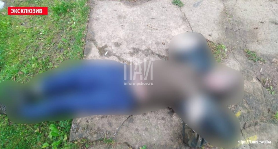 В пруду в центре Печор обнаружили тело мужчины В пруду в центре Печор обнаружили тело мужчины