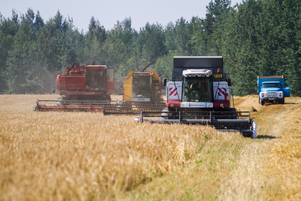 На 46% увеличился объем производства сельхозпродукции в Псковской области за пять лет