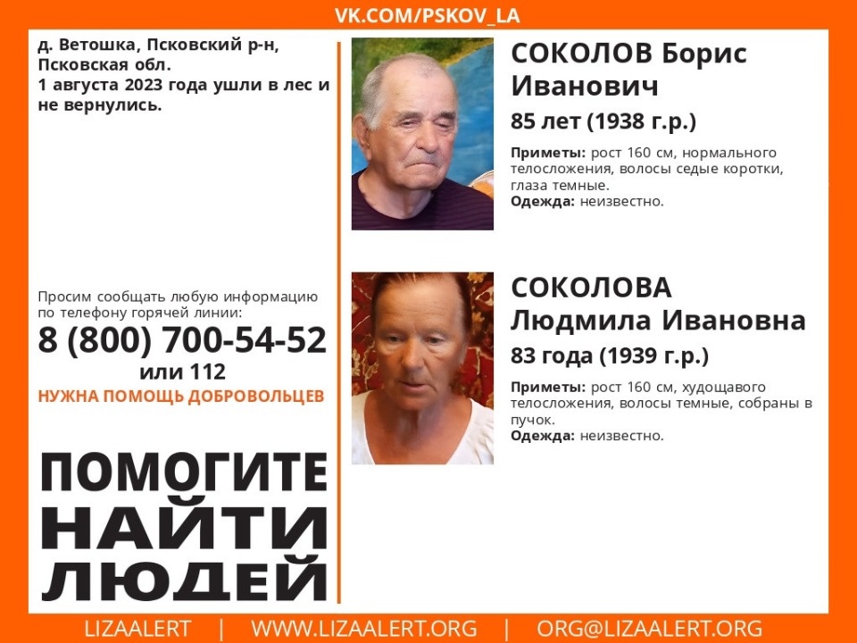 В Псковском районе разыскиваются пропавшие в лесу пенсионеры 
