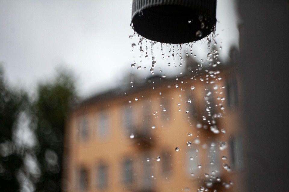 До +26 градусов прогреется воздух в Псковской области 3 августа 