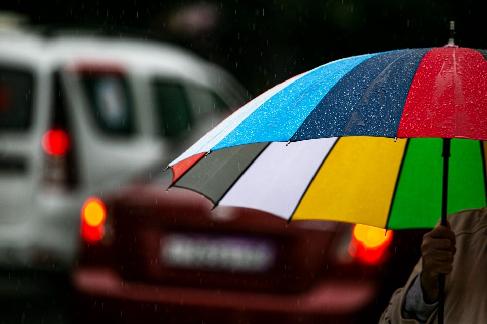 До +23 градусов прогреется воздух в Псковской области 8 августа 