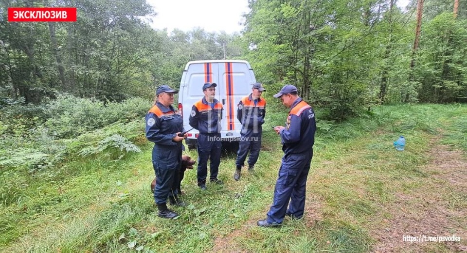 Потерявшуюся в лесу женщину нашли в Псковском районе