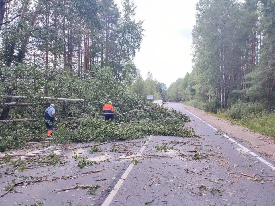 Электроснабжение в Псковской области планируют восстановить до конца дня 