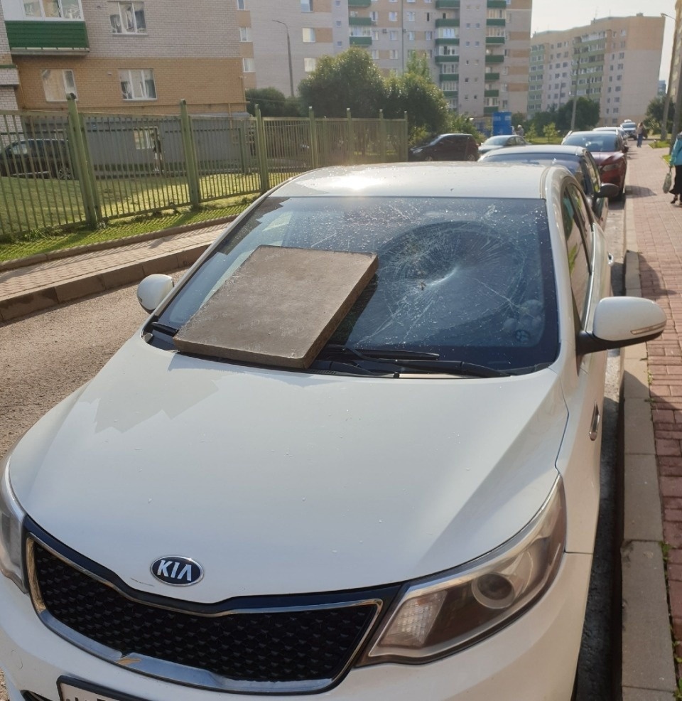 Установлены личности хулиганов, повредивших несколько автомобилей в Псковском районе