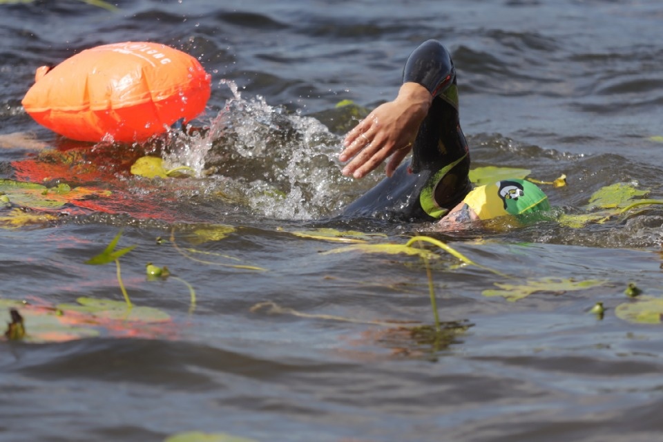 Большой заплыв 