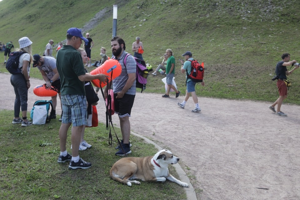 Большой заплыв 