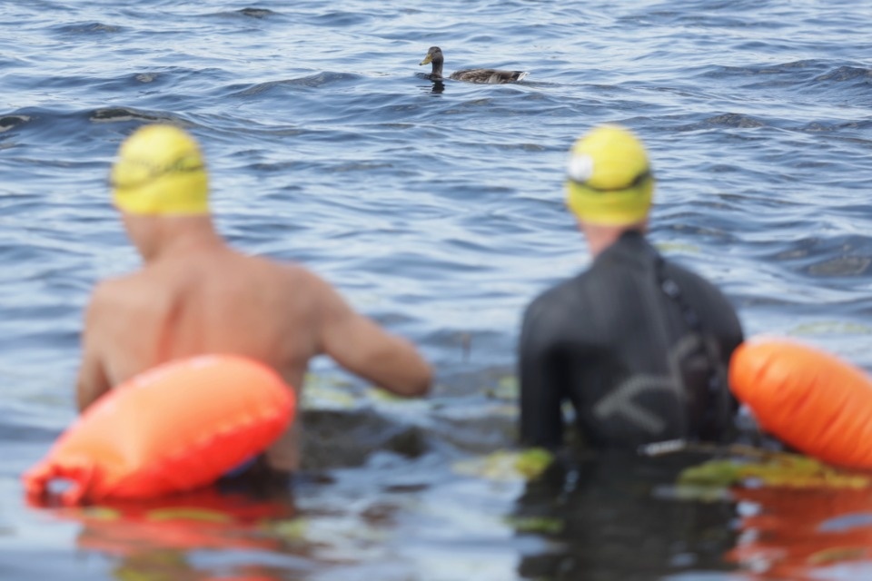 Большой заплыв 