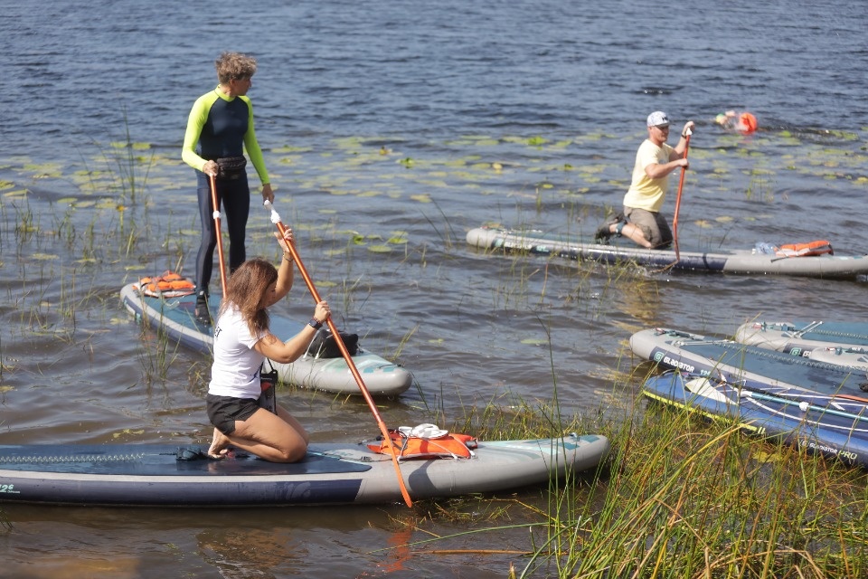 Большой заплыв 