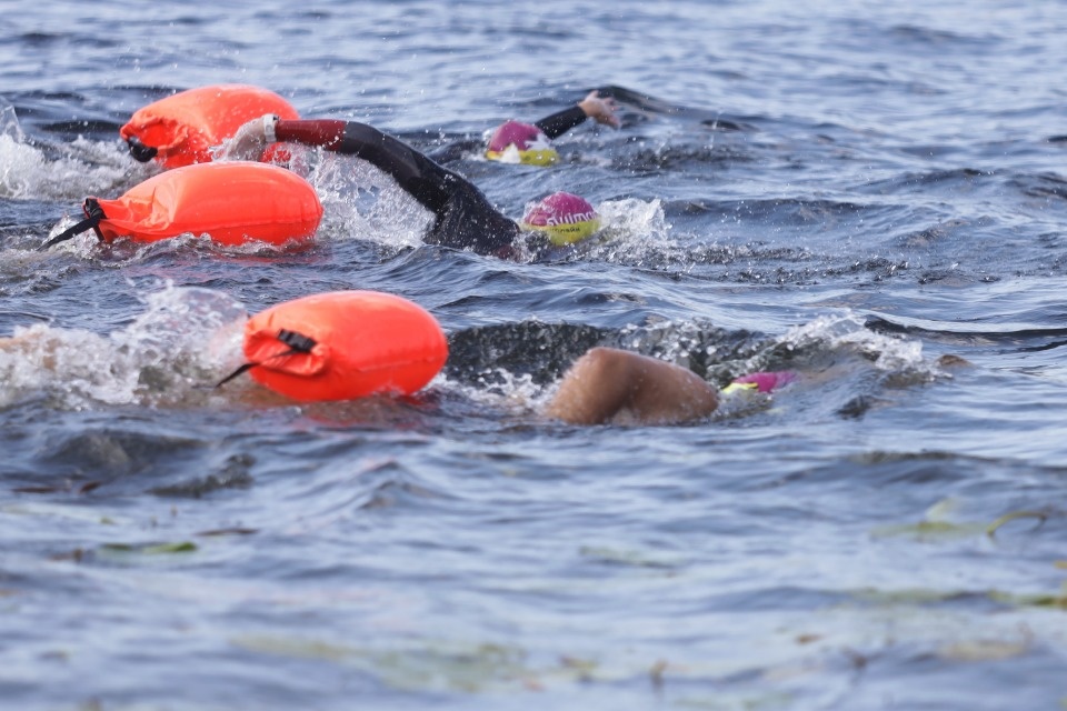 Большой заплыв 