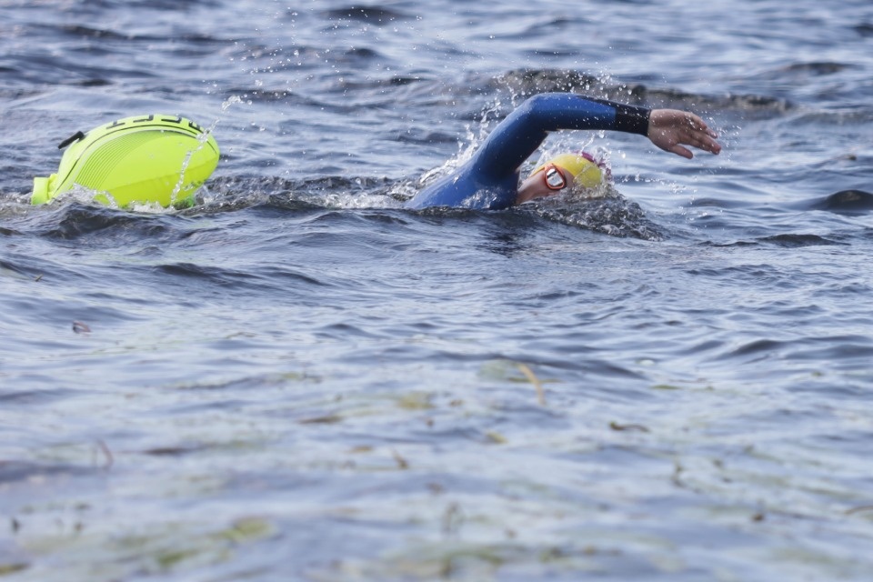 Большой заплыв 