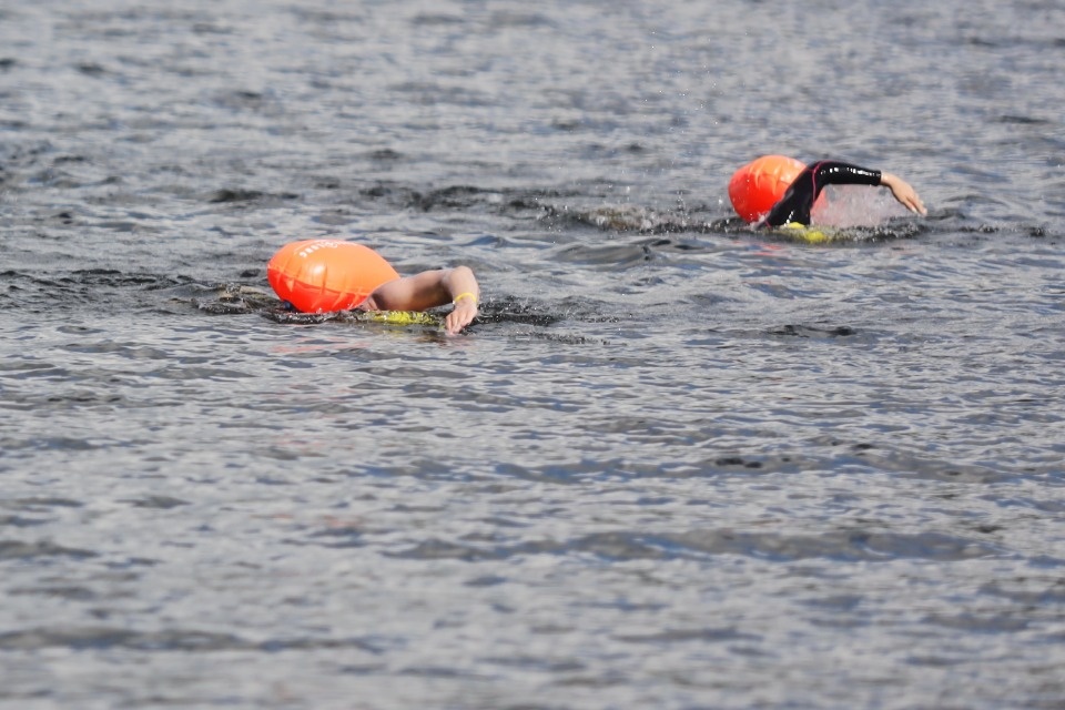 Большой заплыв 