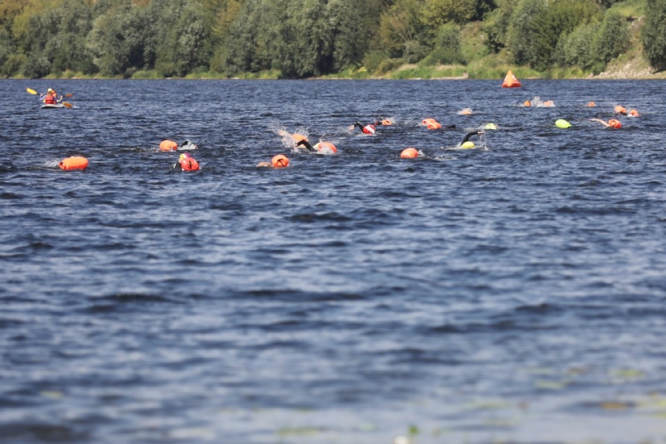 Большой заплыв 