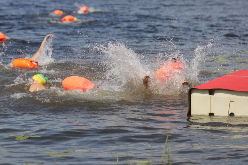 Большой заплыв 