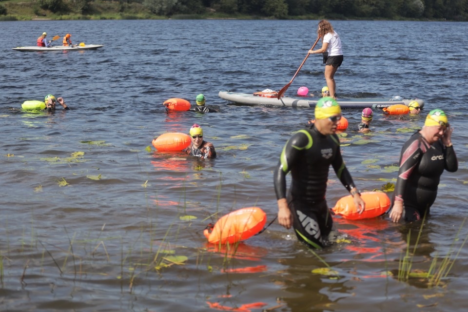 Большой заплыв 