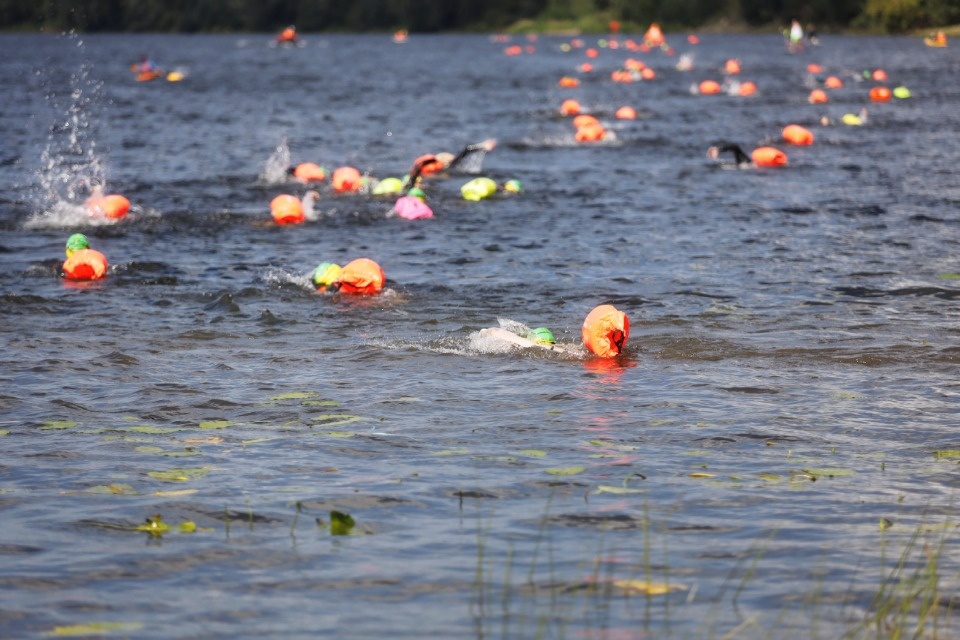 Большой заплыв 