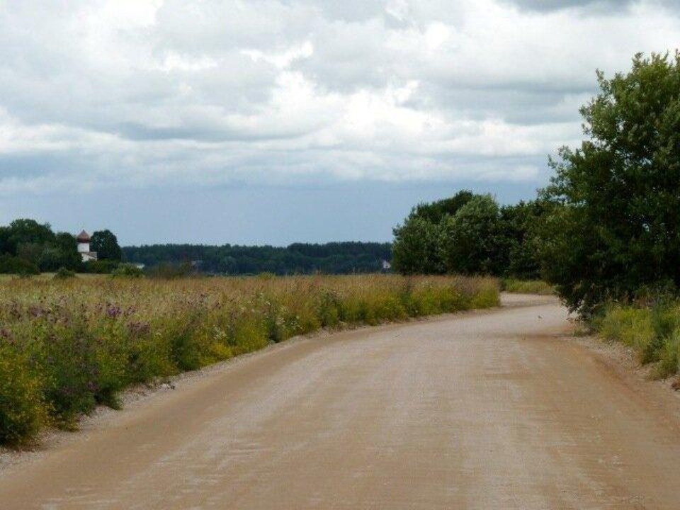 Заключен контракт на ремонт дороги до деревни Выбуты Заключен контракт на ремонт дороги до деревни Выбуты