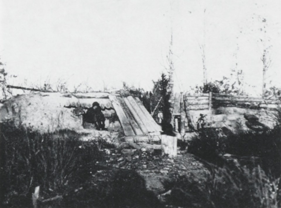 Добровольцы в преступники