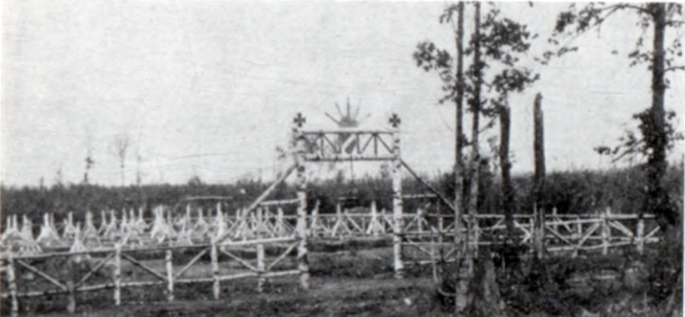 Добровольцы в преступники