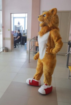 Уютные выборы