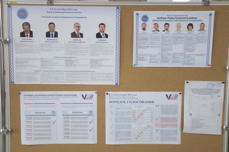 Уютные выборы