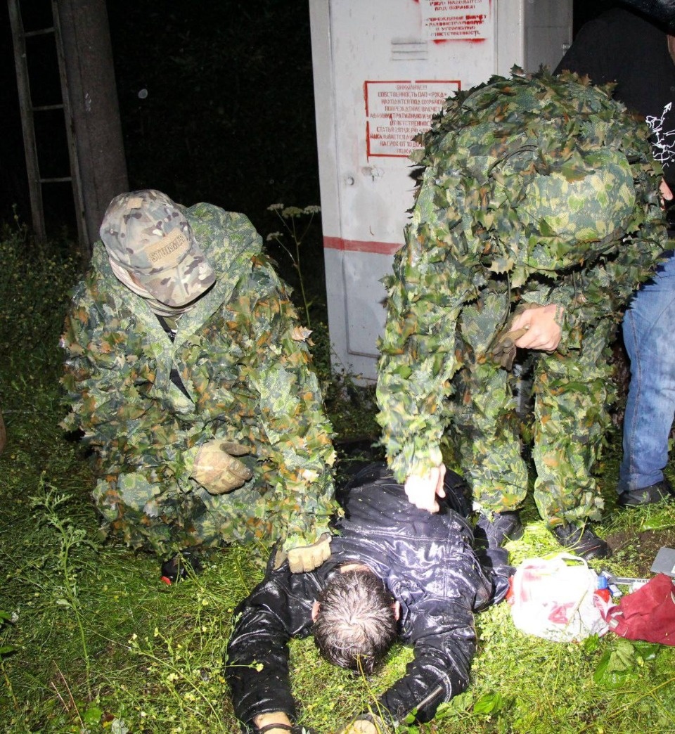 ФСБ задержала пытавшегося устроить диверсию на железной дороге в Псковском районе мужчину 