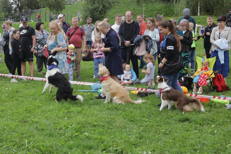 «Высоко в небо» «Высоко в небо»