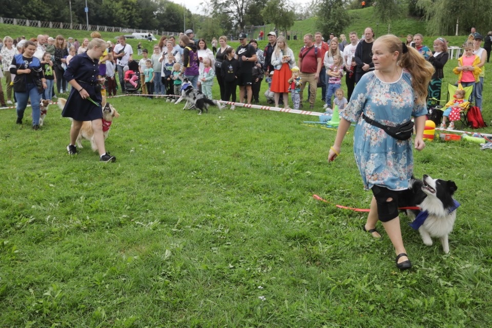 «Высоко в небо» «Высоко в небо»