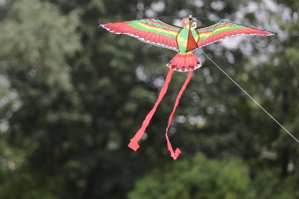 «Высоко в небо» «Высоко в небо»