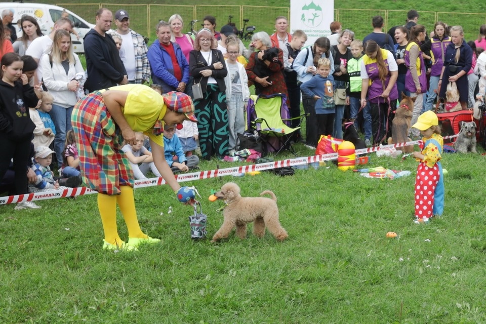 «Высоко в небо» «Высоко в небо»