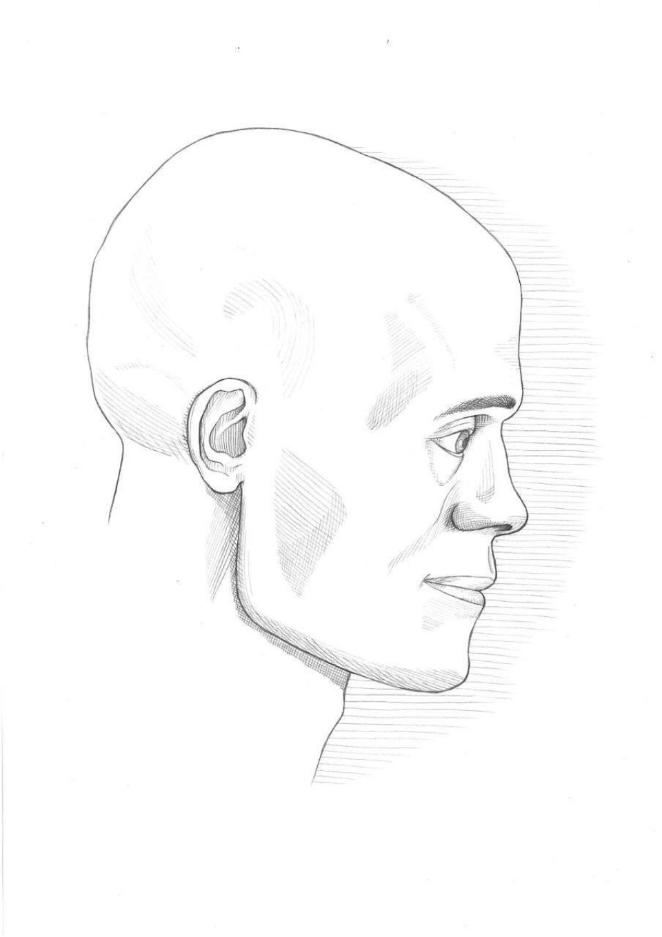 Псковские археологи показали портреты древних печерян