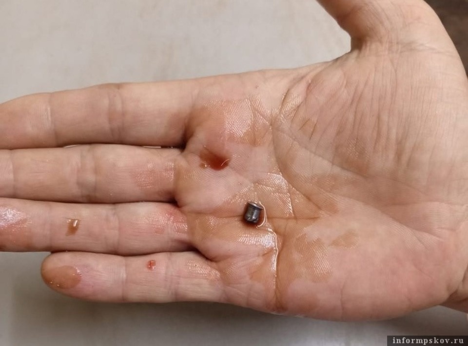 Неизвестный подстрелил корову в Плюсском районе